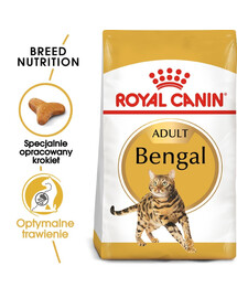 ROYAL CANIN Bengal Adult, croquettes pour chats adultes de race bengale, 8 x 2 kg