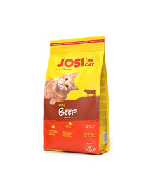 JOSERA JosiCat Tasty Beef 2x1,9 kg avec du bœuf pour chats adultes