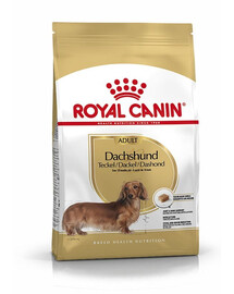 ROYAL CANIN Dachshund : croquettes pour chiens adultes de race teckel, 4 x 1,5 kg