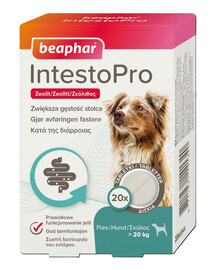 BEAPHAR IntestoPro comprimés soutenant une consistance normale des selles 20 pcs pour chiens (plus de 20kg)