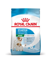 ROYAL CANIN Mini Starter Mother & Babydog 4 x 1 kg : croquettes pour chiennes gestantes et allaitantes, ainsi que pour chiots âgés de 4 à 8 semaines, de petite race