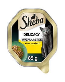 SHEBA Delicacy au poulet en gelée nourriture humide pour chats 85g