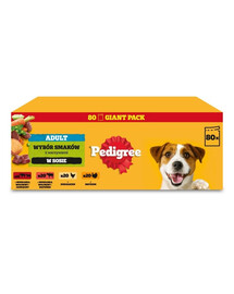 PEDIGREE Adult Variety of Flavors in Gravy wet dog food 80x100 g