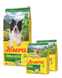 JOSERA Salmon & Potato Adult 12,5 kg pour chiens sensibles, recette sans céréales + 2×900 g de croquettes offertes