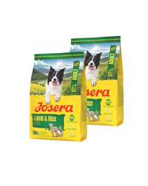 JOSERA Lamb and Rice Adult, aliment monoprotéique pour chiens adultes 2x3 kg