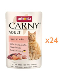ANIMONDA Carny Adult Pouch Poulet et saumon nourriture humide pour chats 24x85g