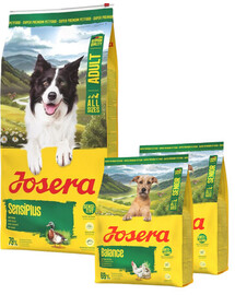 JOSERA SensiPlus 12,5 kg pour chiens au système digestif sensible + 2×900 g de croquettes offertes