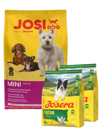 JOSERA JosiDog Mini 10 kg pour petits chiens adultes + 2×900 g de croquettes offertes