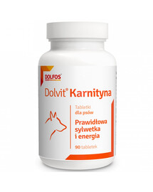DOLFOS Dolvit Carnitine 90 comprimés : pour une silhouette harmonieuse et une bonne vitalité – comprimés pour chiens