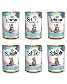SCHESIR Thon à l'aloe vera pour les chatons 6x140 g