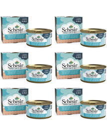 SCHESIR Thon à l'aloe vera pour les chatons 6x85g
