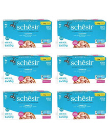 SCHESIR Thon en bouillon pour chats 36×50 g