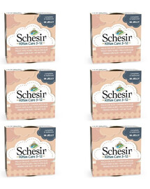 SCHESIR Poulet à l'aloès pour chatons 6x85G