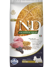 FARMINA N&D Ancestral Grain Dog Adult Mini 7 kg agneau & myrtille pour chiens adultes de petites races + FARMINA N&D Quinoa Dental Treat Flatulence Mini 60 g (7 pcs) GRATUIT