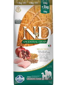 FARMINA N&D Ancestral Selection Dog Adult Medium & Maxi 15 kg poulet & grenade pour chiens adultes + 2 × FARMINA N&D Tropical Selection Dental Treat Pork Medium/Maxi 100 g (7 pcs) GRATUIT