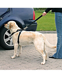 TRIXIE Harnais de voiture pour chien L