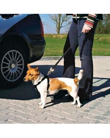 TRIXIE Harnais de voiture pour chien M