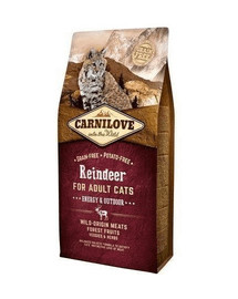 CARNILOVE Chat Energy & Outdoor Renne 2 kg
