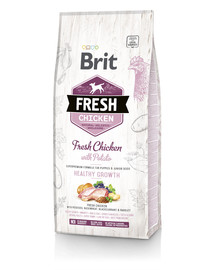 BRIT Fresh chicken with potato puppy healthy growth - Poulet frais avec pommes de terre pour chiots - 12 kg
