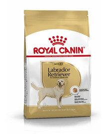 ROYAL CANIN Labrador retriever adult 12 kg