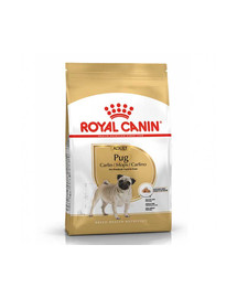 ROYAL CANIN Pug adult 1.5 kg