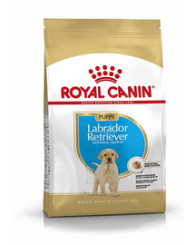 ROYAL CANIN Labrador retriever junior 3 kg