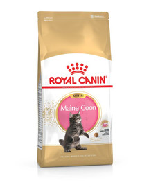 ROYAL CANIN Kitten maine coon 2 kg