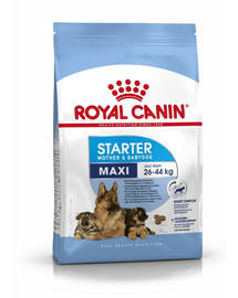 ROYAL CANIN Maxi starter mother & babydog 15 kg