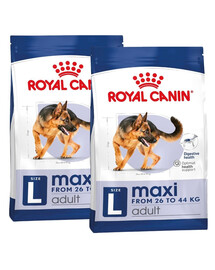 ROYAL CANIN Maxi Adult nourriture sèche pour chiens adultes, jusqu'à 5 ans, grandes races 30 kg (2x15kg)