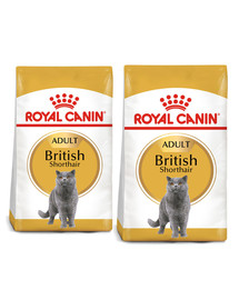 ROYAL CANIN British Shorthair - Nourriture complète pour les chats adultes British Shorthair - 2 x 10 kg