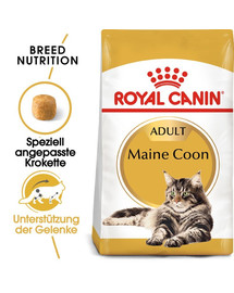 ROYAL CANIN Maine Coon Adult Aliments secs pour chats Maine Coon adultes 20 kg (2x10 kg)