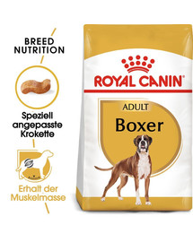 ROYAL CANIN Boxer Adult - Croquettes pour chiens Boxer adultes - 24 kg (2x12 kg)