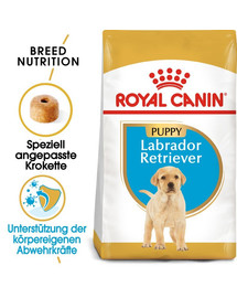 ROYAL CANIN Labrador Retriever Puppy Junior nourriture sèche pour chiots jusqu'à 15 mois, race labrador retriever 24 kg (2 x 12 kg)