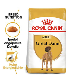 ROYAL CANIN Great Dane Adult Aliments secs pour dogues allemands adultes 24 kg (2x12 kg)