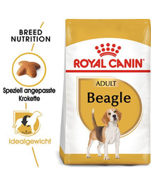 ROYAL CANIN Beagle Adult Aliments secs pour chiens beagle adultes 24 kg (2x12 kg)