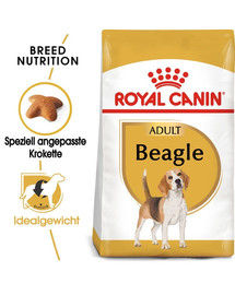 ROYAL CANIN Beagle Adult - Croquettes pour chiens Beagle adultes - 24 kg (2x12 kg)