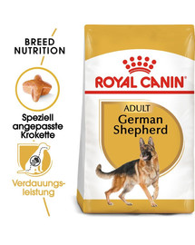 ROYAL CANIN German Shepherd Adult - Croquettes pour chiens adultes de type Berger Allemand - 22 kg (2x11 kg)