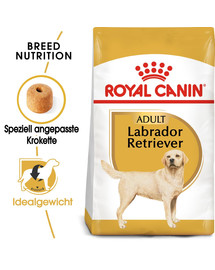 ROYAL CANIN Labrador Retriever Adult - Croquettes pour chiens adultes de la race Labrador Retriever - 24 kg (2x12 kg)