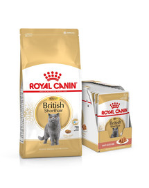 ROYAL CANIN British Shorthair - nourriture sèche pour chats adultes British Shorthair - 10kg + nourriture humide 12x85g