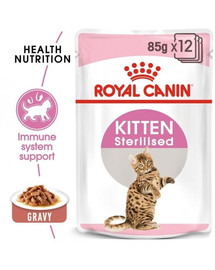 ROYAL CANIN Kitten Sterilised nourriture humide en sauce pour chatons stérilisées jusqu'à 12 mois 12 x 85g