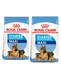 ROYAL CANIN Maxi Starter Mother&Babydog 2 x 15 kg