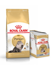 ROYAL CANIN Persian Adult 10 kg + Persian Nourriture humide 12x85 g