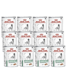 ROYAL CANIN Diabetic Special 410 g x 12 - nourriture humide pour chiens adultes atteints de diabète sucré