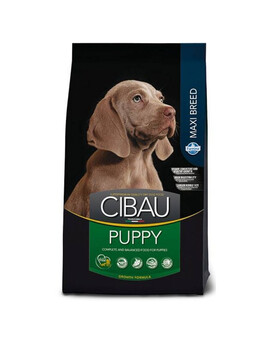 CIBAU Maxi Puppy 12 + 2 kg FREE