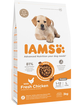IAMS ProActive Health Puppy & Junior Large Breed Chicken 3 kg