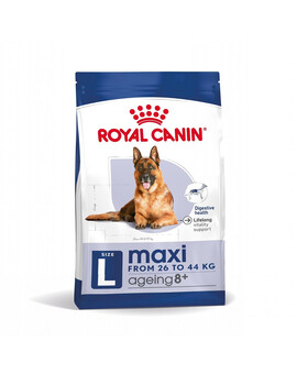 ROYAL CANIN Maxi ageing croquettes pour chiens adultes de plus de 8 ans, grandes races 8+15 kg