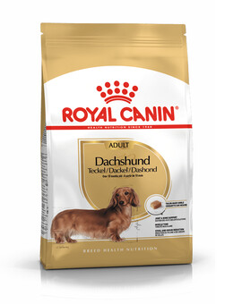 ROYAL CANIN Dachshund adult 0.5 kg nourriture sèche pour chiens teckels adultes