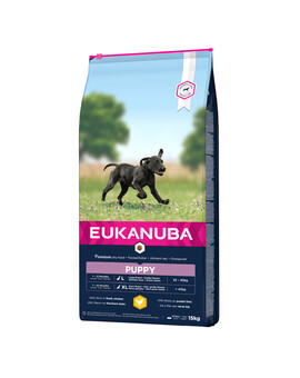 EUKANUBA Puppy Large Breeds Chicken - pour chiots de grandes races avec du poulet frais - 15 kg