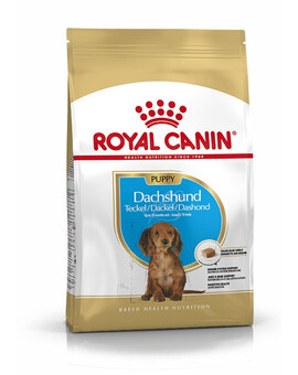 ROYAL CANIN Teckel chiots - 1.5 kg