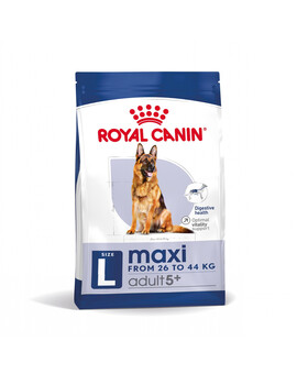 ROYAL CANIN Maxi Adult 5+ croquettes pour chiens âgés de 5 à 8 ans, grandes races 15 kg